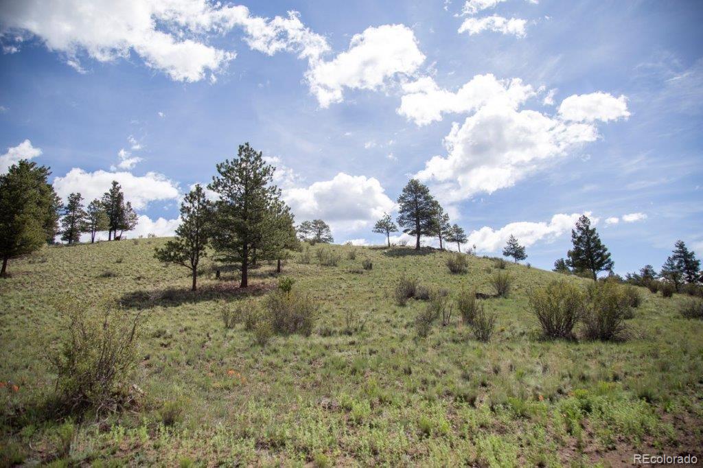 1st image of 780 Cliff View Dr, Creede, CO 81130 | MLS# 7201687