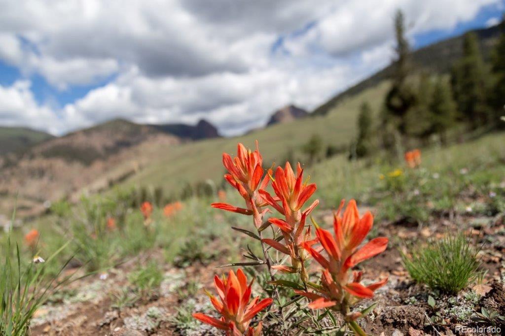 5th image of 780 Cliff View Dr, Creede, CO 81130 | MLS# 7201687