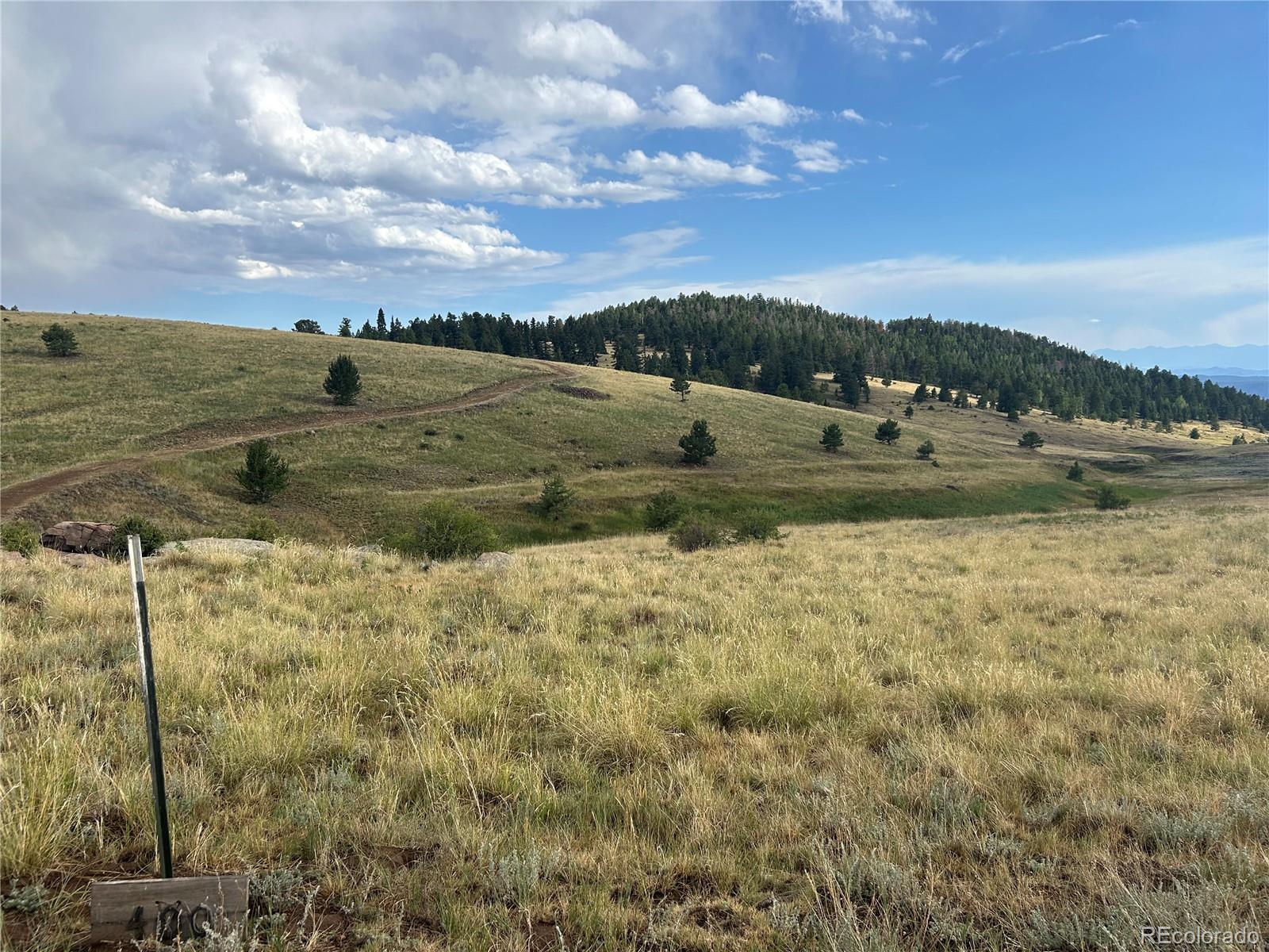2nd image of 1100 Grumpy Burro Vw, Cripple Creek, CO 80863 | MLS# 7928960