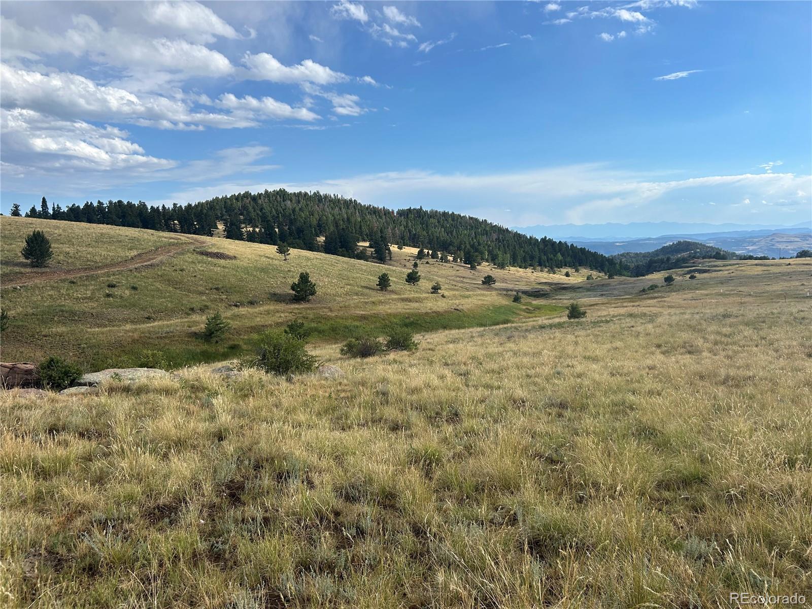 1st image of 1100 Grumpy Burro Vw, Cripple Creek, CO 80863 | MLS# 7928960