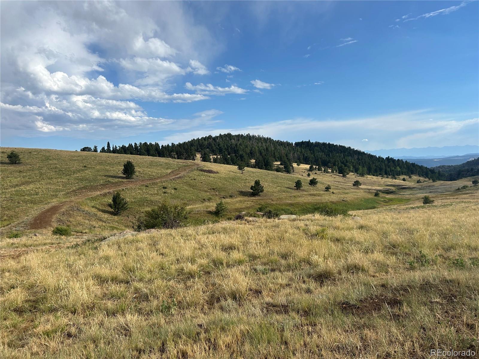 3rd image of 1100 Grumpy Burro Vw, Cripple Creek, CO 80863 | MLS# 7928960
