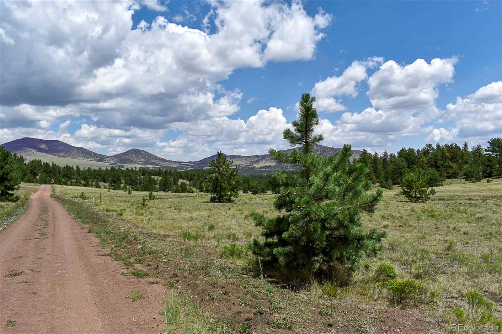 47th image of 376 Copeland Rd, Guffey, CO 80820 | MLS# 2167010
