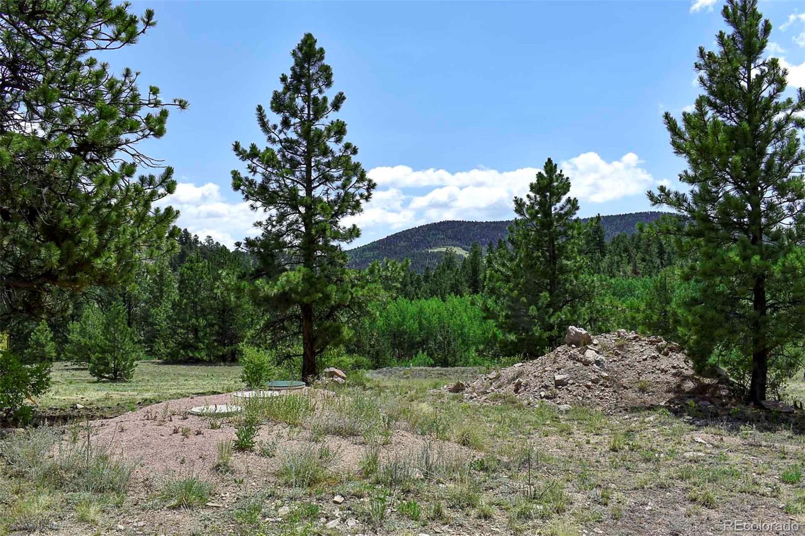 2nd image of 376 Copeland Rd, Guffey, CO 80820 | MLS# 2167010