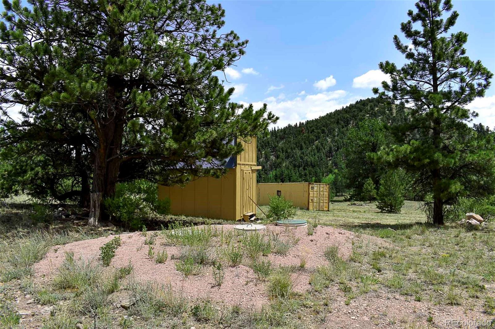 4th image of 376 Copeland Rd, Guffey, CO 80820 | MLS# 2167010