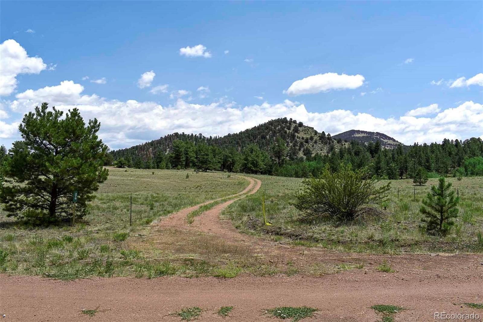 3rd image of 376 Copeland Rd, Guffey, CO 80820 | MLS# 2167010