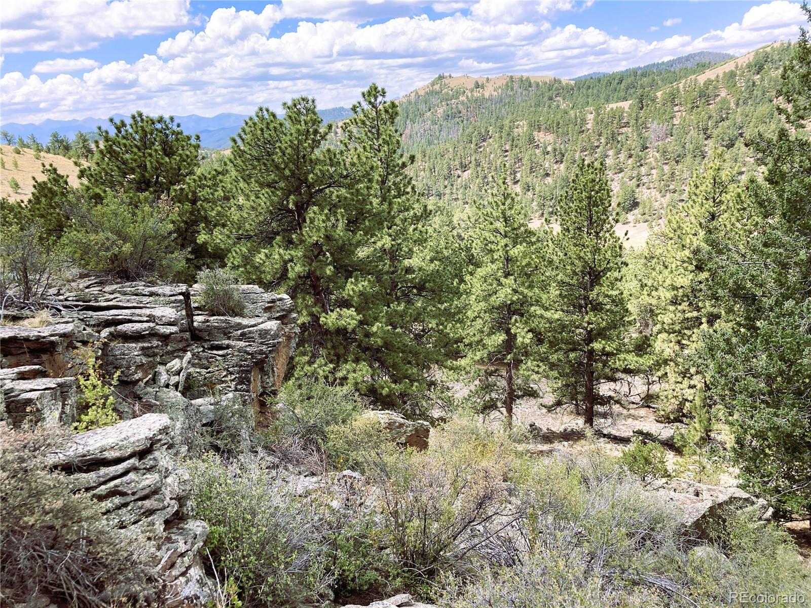 5th image of 2506 County Road 16, Cotopaxi, CO 81223 | MLS# 9712426