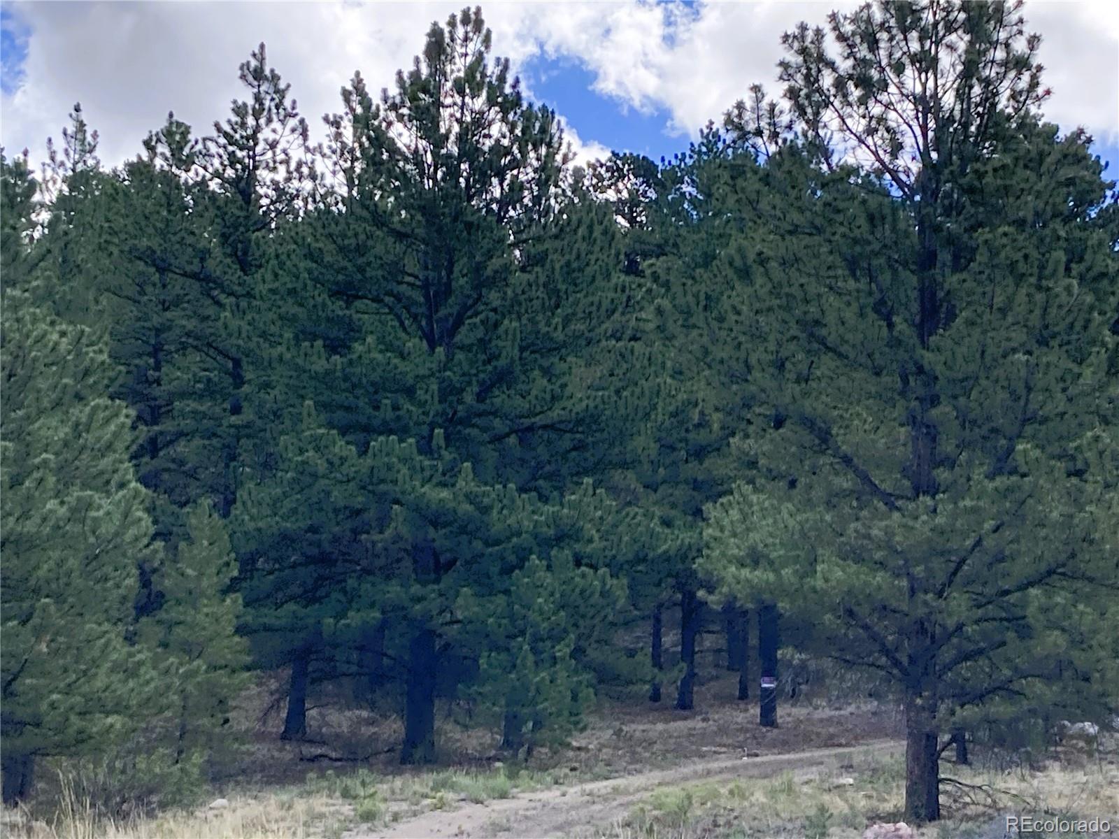3rd image of 2506 County Road 16, Cotopaxi, CO 81223 | MLS# 9712426