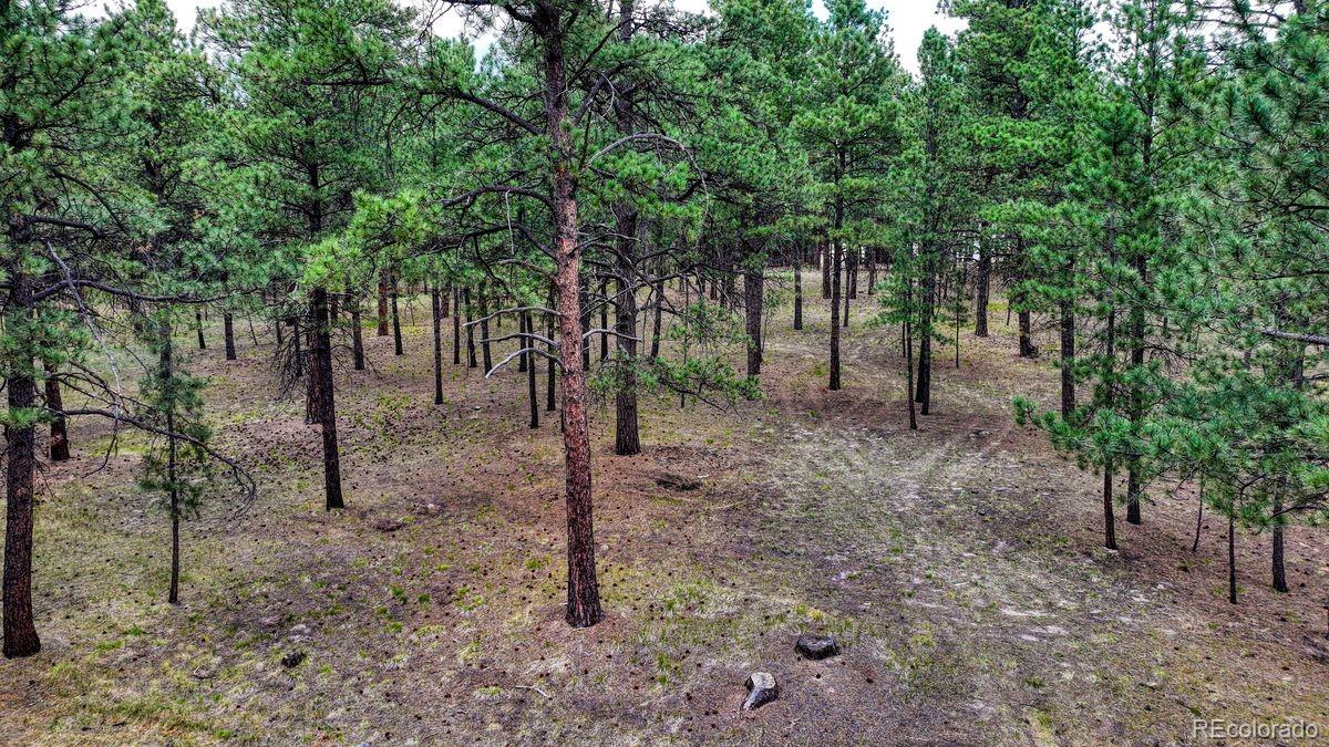 5th image of 9950 Pine Park Trl, Colorado Springs, CO 80908 | MLS# 5795475