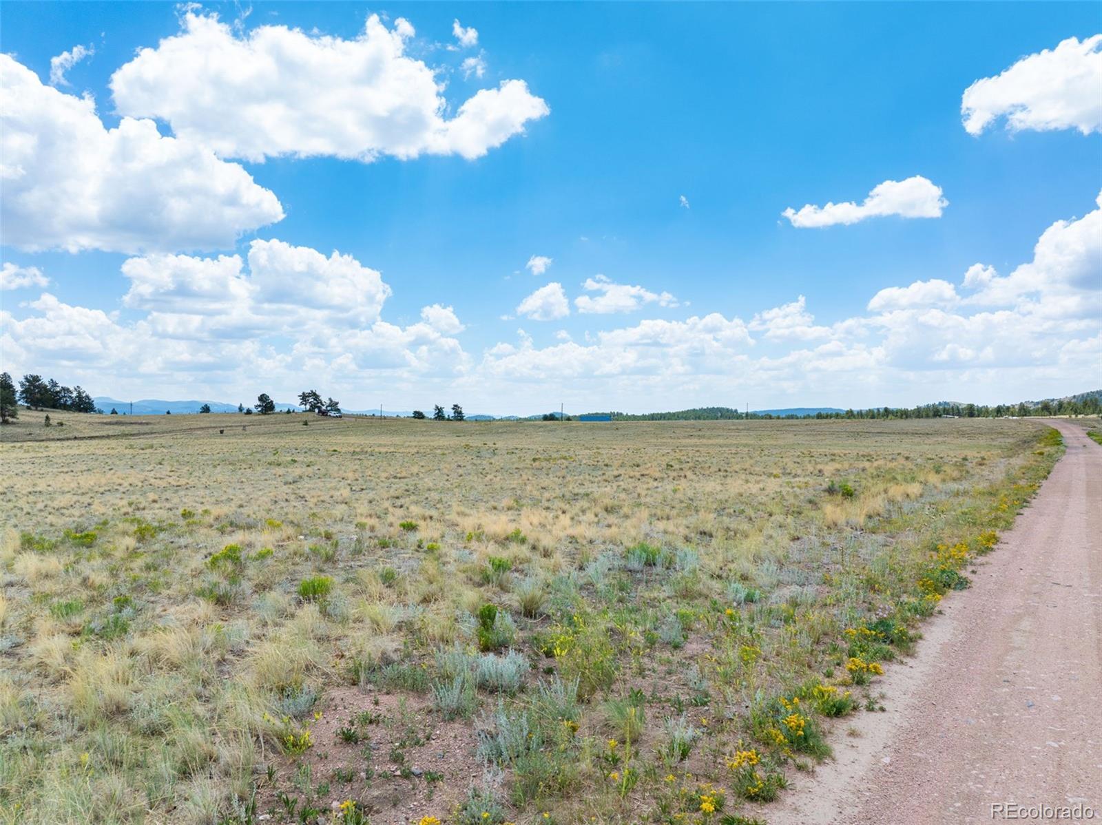 1st image of 74 Wrights Ln, Guffey, CO 80820 | MLS# 8598046