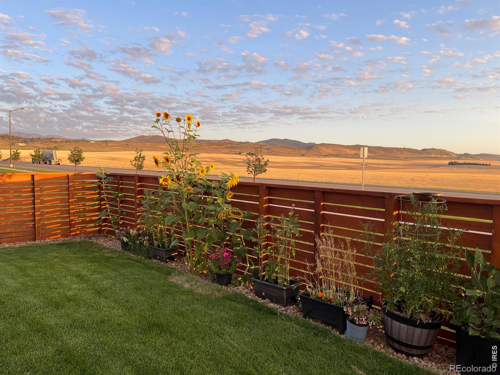 48th image of 4985 Goya Ct, Loveland, CO 80538 | MLS# IR1064942