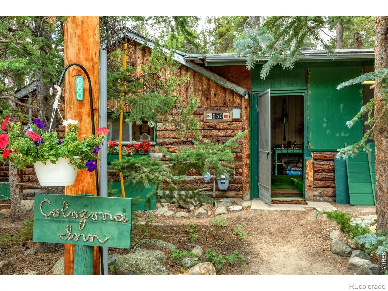 Homes for sale in Nederland, CO | 650 W Pine St, Nederland, CO 80466 | MLS# IR1064950