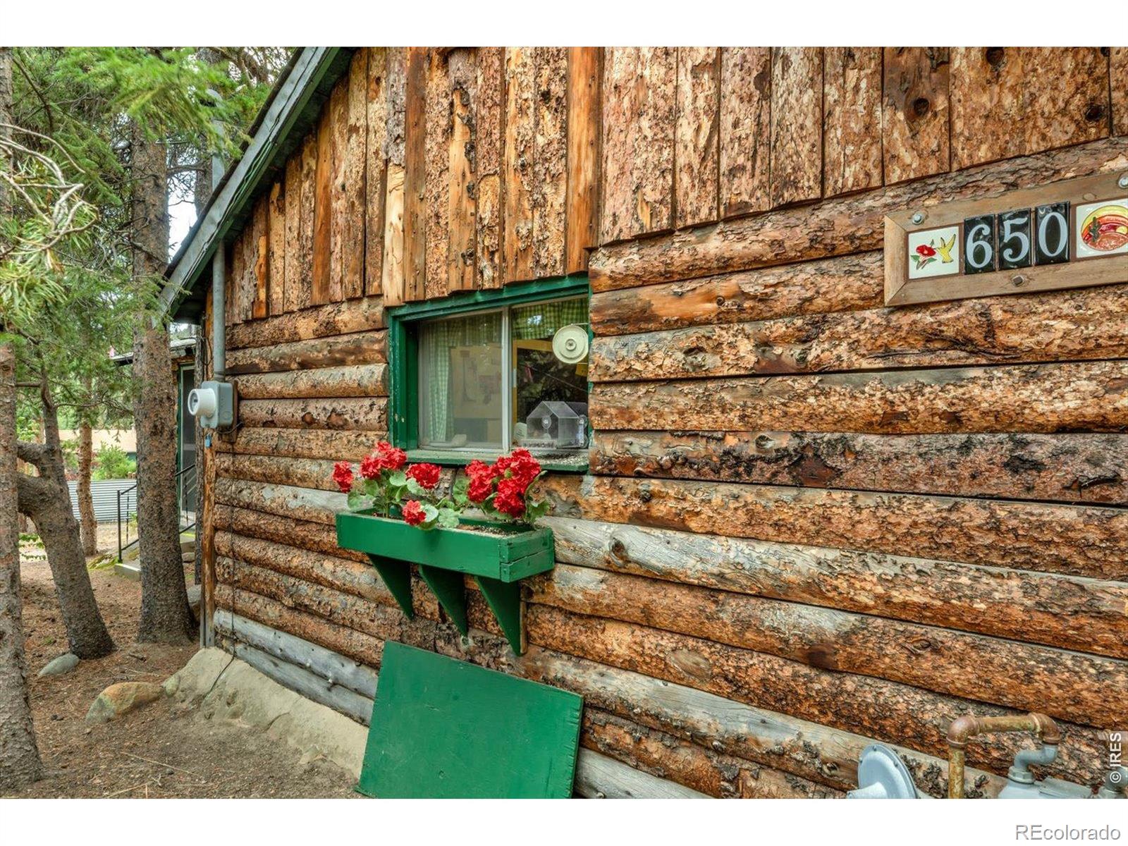 4th image of 650 W Pine St, Nederland, CO 80466 | MLS# IR1064950