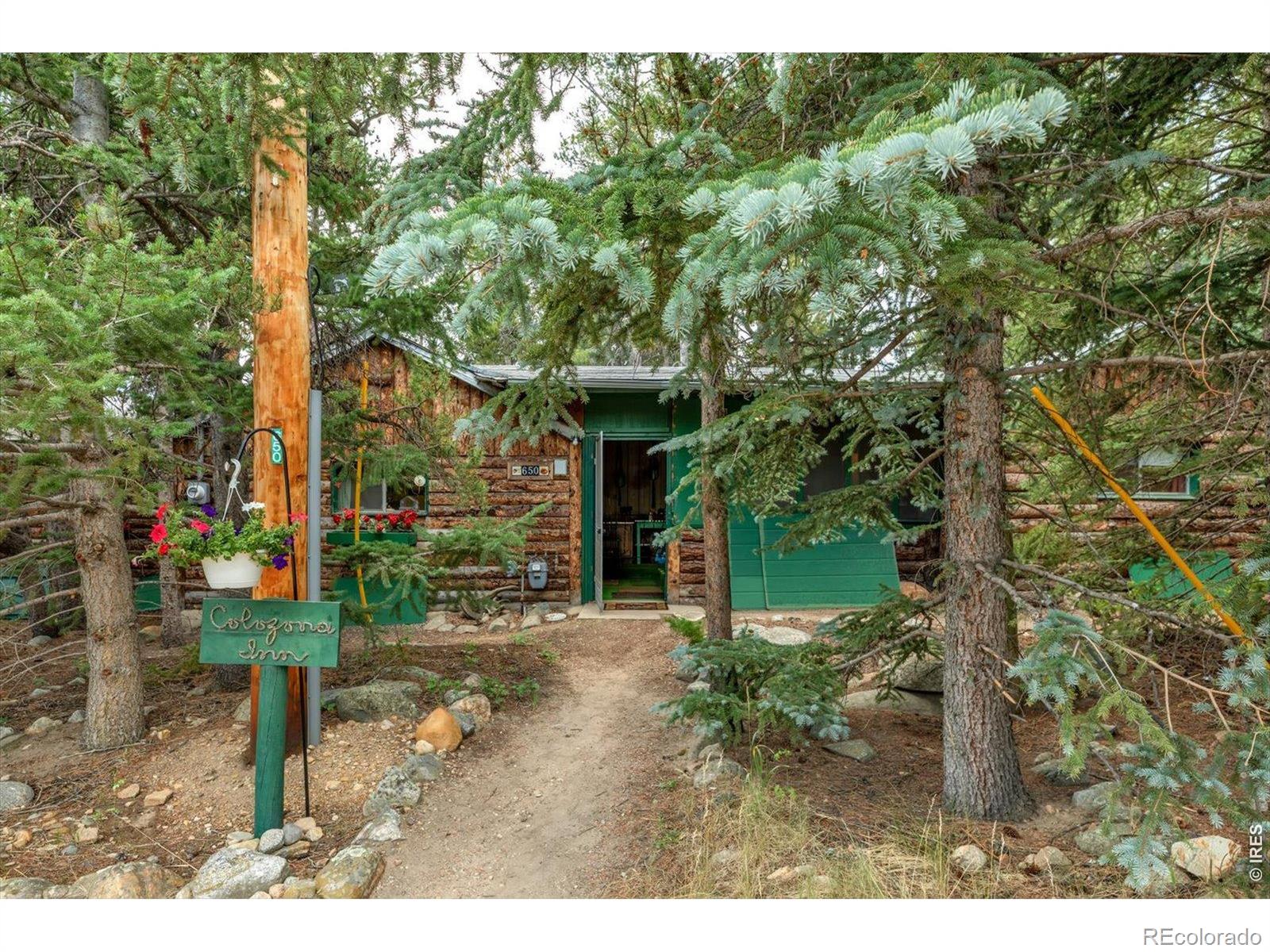 Homes for sale in Nederland, CO | 650 W Pine St, Nederland, CO 80466 | MLS# IR1064950