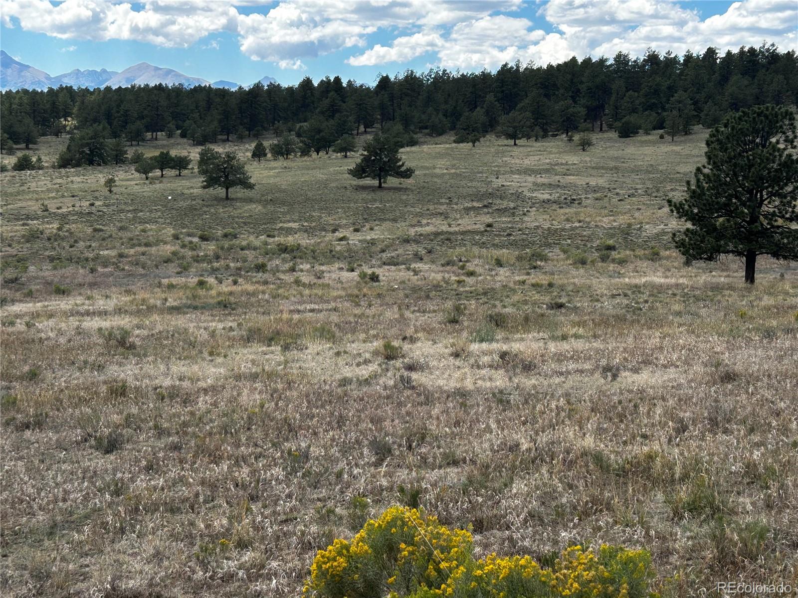 3rd image of 525 County Road 321, Westcliffe, CO 81252 | MLS# 3606964