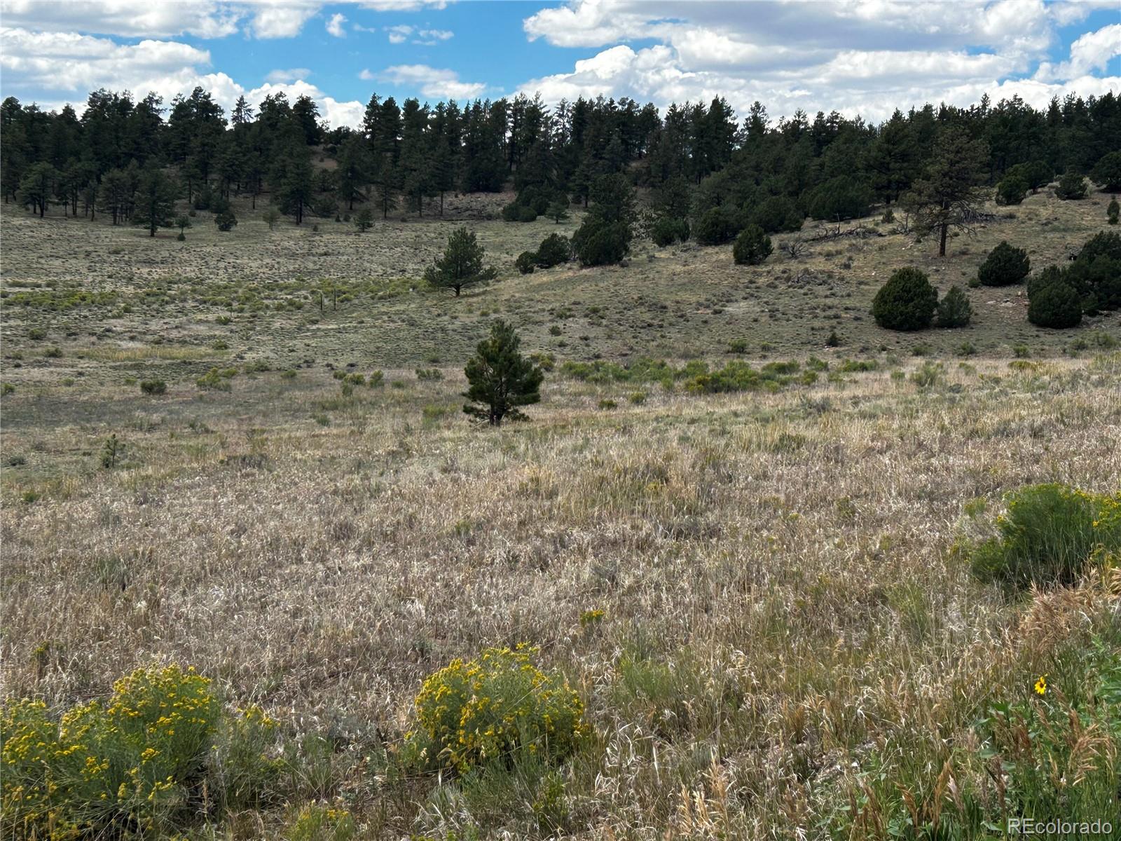 4th image of 525 County Road 321, Westcliffe, CO 81252 | MLS# 3606964