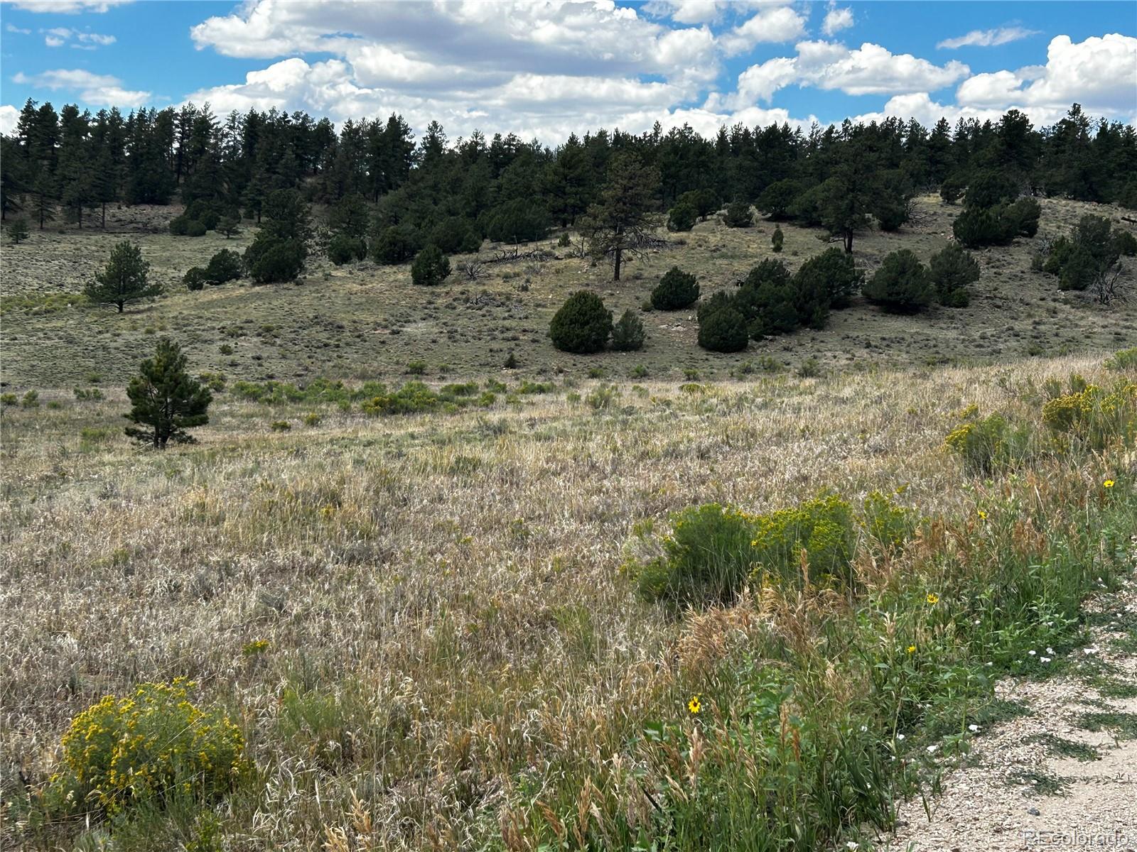 5th image of 525 County Road 321, Westcliffe, CO 81252 | MLS# 3606964