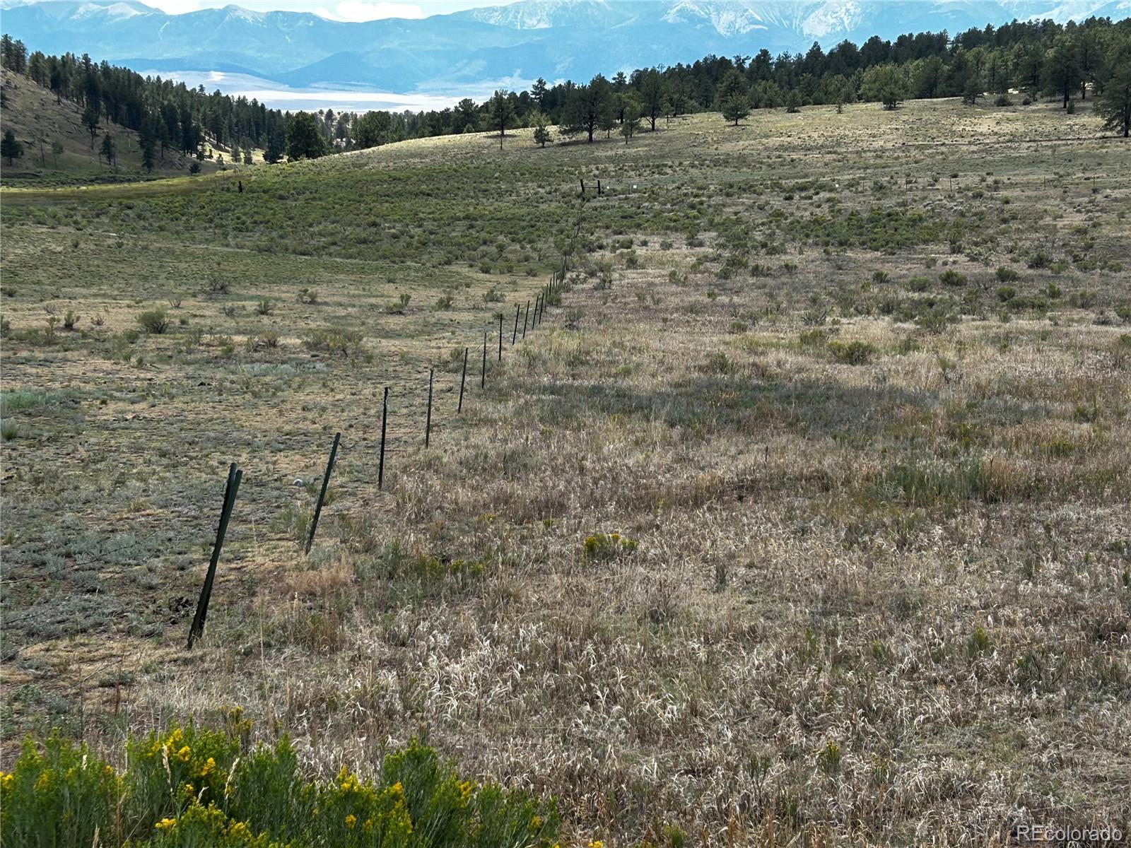 2nd image of 525 County Road 321, Westcliffe, CO 81252 | MLS# 3606964