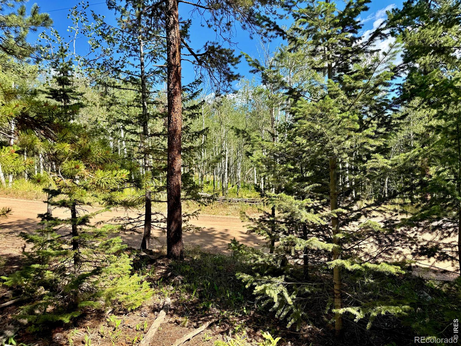 Homes for sale in Ward, CO | 312 Ridge Rd, Ward, CO 80481 | MLS# IR1065132