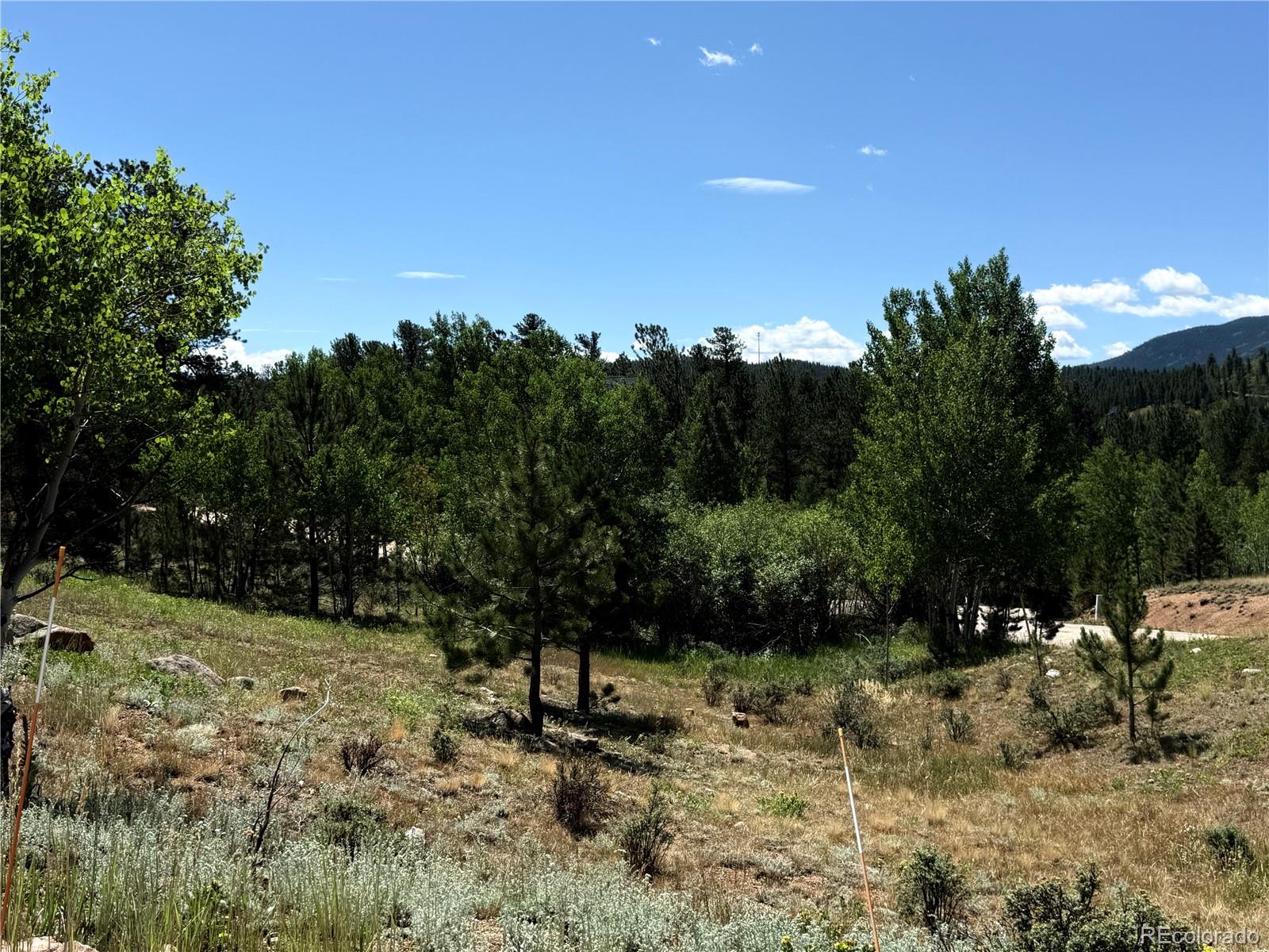 3rd image of 364 Stage Coach Dr, Bailey, CO 80421 | MLS# 8117208
