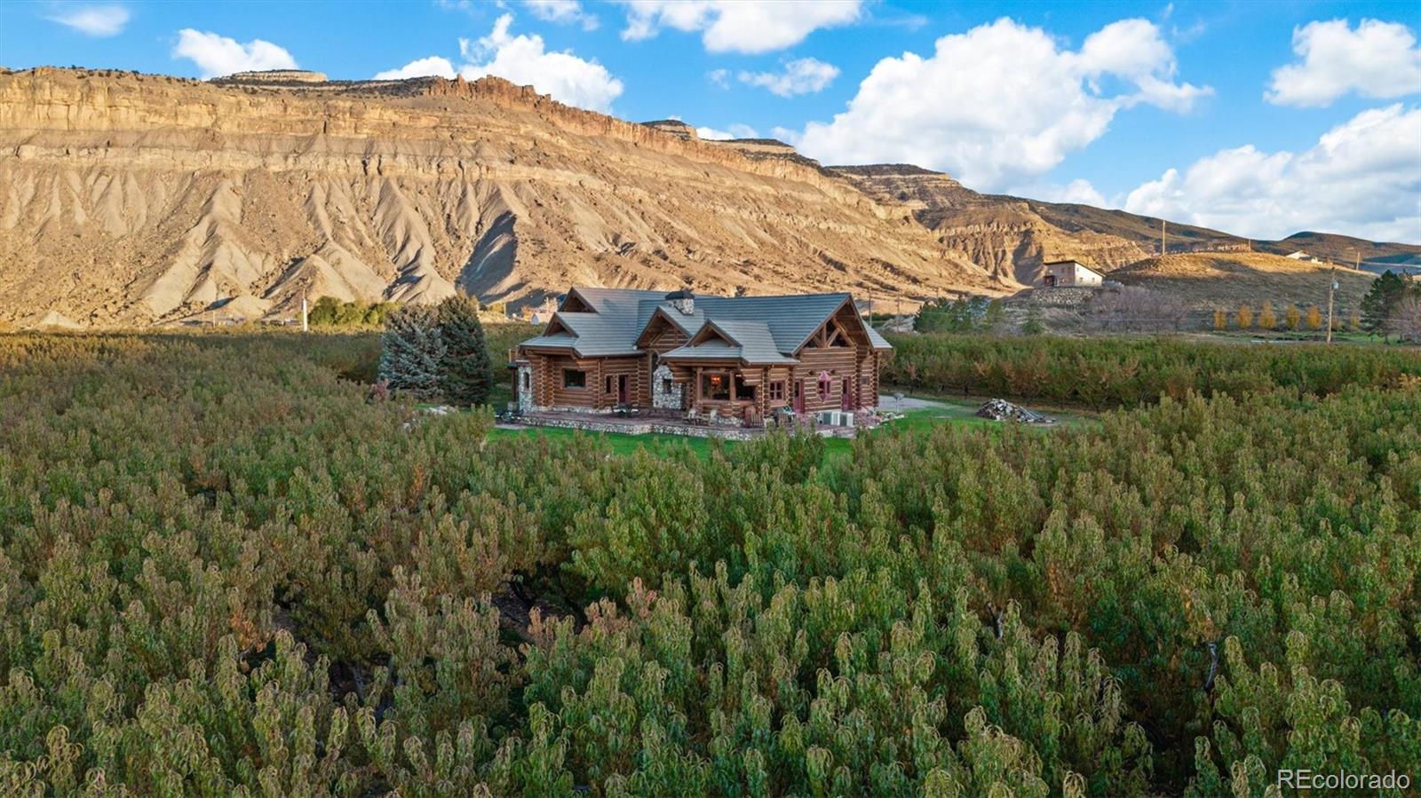 2nd image of 3875 F 3/4 Rd, Palisade, CO 81526 | MLS# 1750836