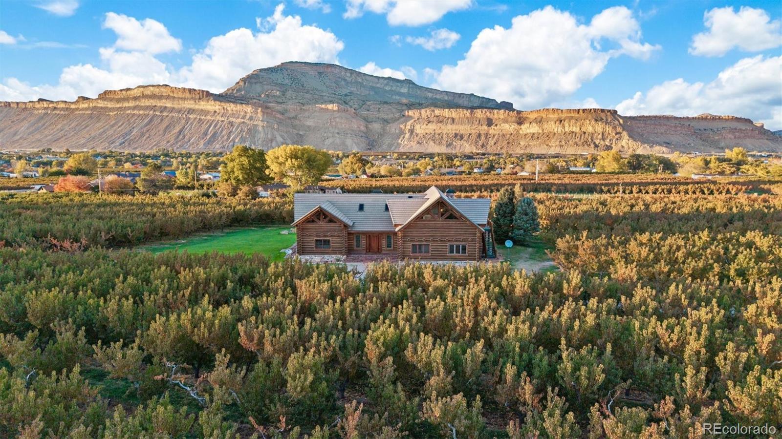 49th image of 3875 F 3/4 Rd, Palisade, CO 81526 | MLS# 1750836