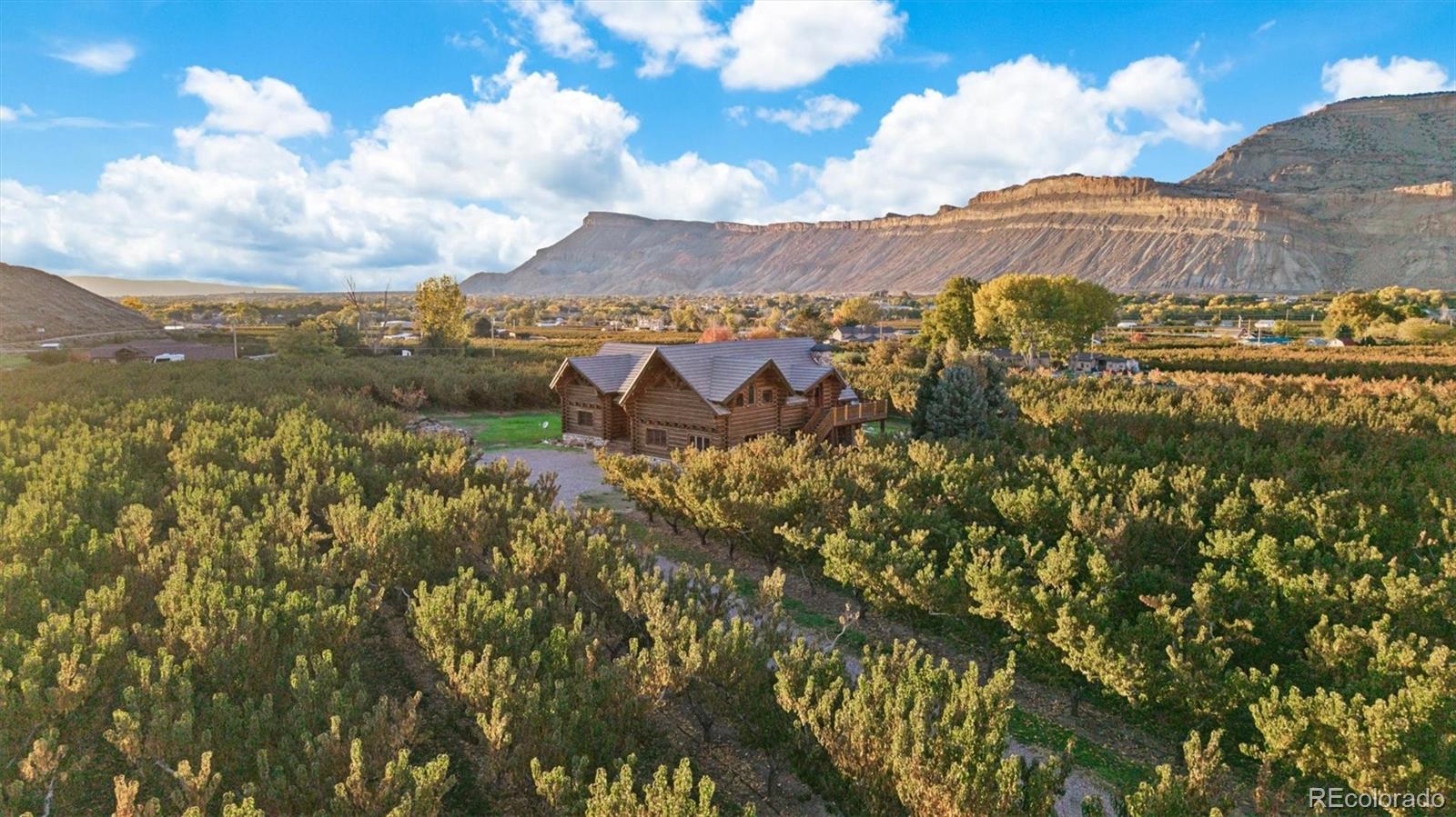 4th image of 3875 F 3/4 Rd, Palisade, CO 81526 | MLS# 1750836
