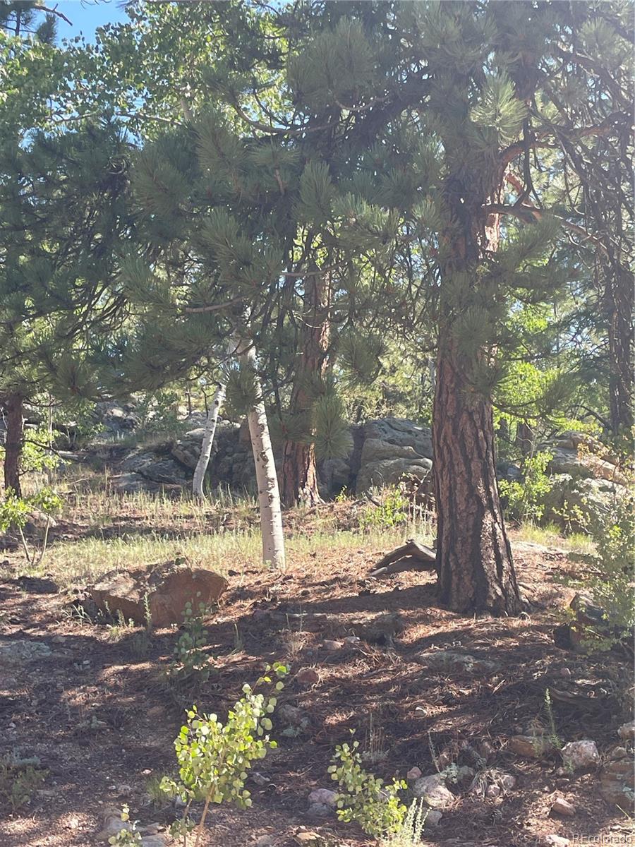 37th image of 3943 Co Rd 403, Lake George, CO 80827 | MLS# 5084724
