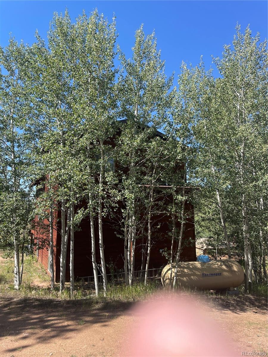 2nd image of 3943 Co Rd 403, Lake George, CO 80827 | MLS# 5084724