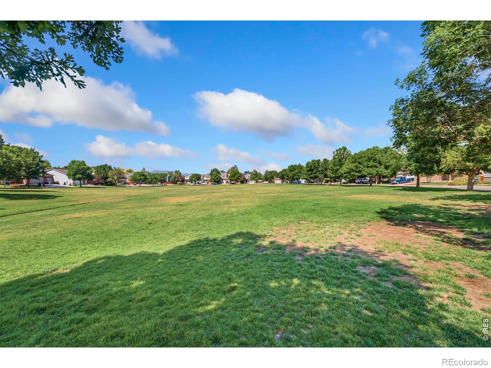 43rd image of 1565 Bengal Ave, Loveland, CO 80537 | MLS# IR1065422