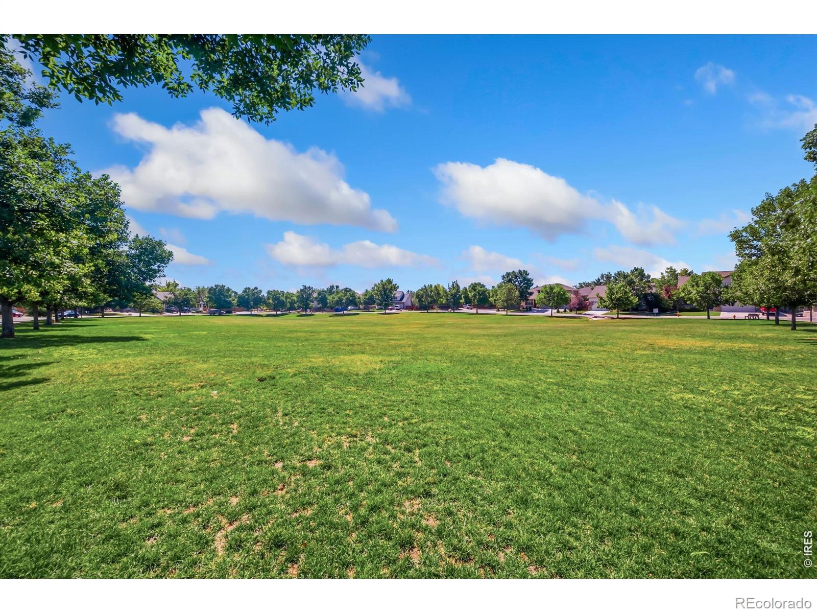 2nd image of 1565 Bengal Ave, Loveland, CO 80537 | MLS# IR1065422