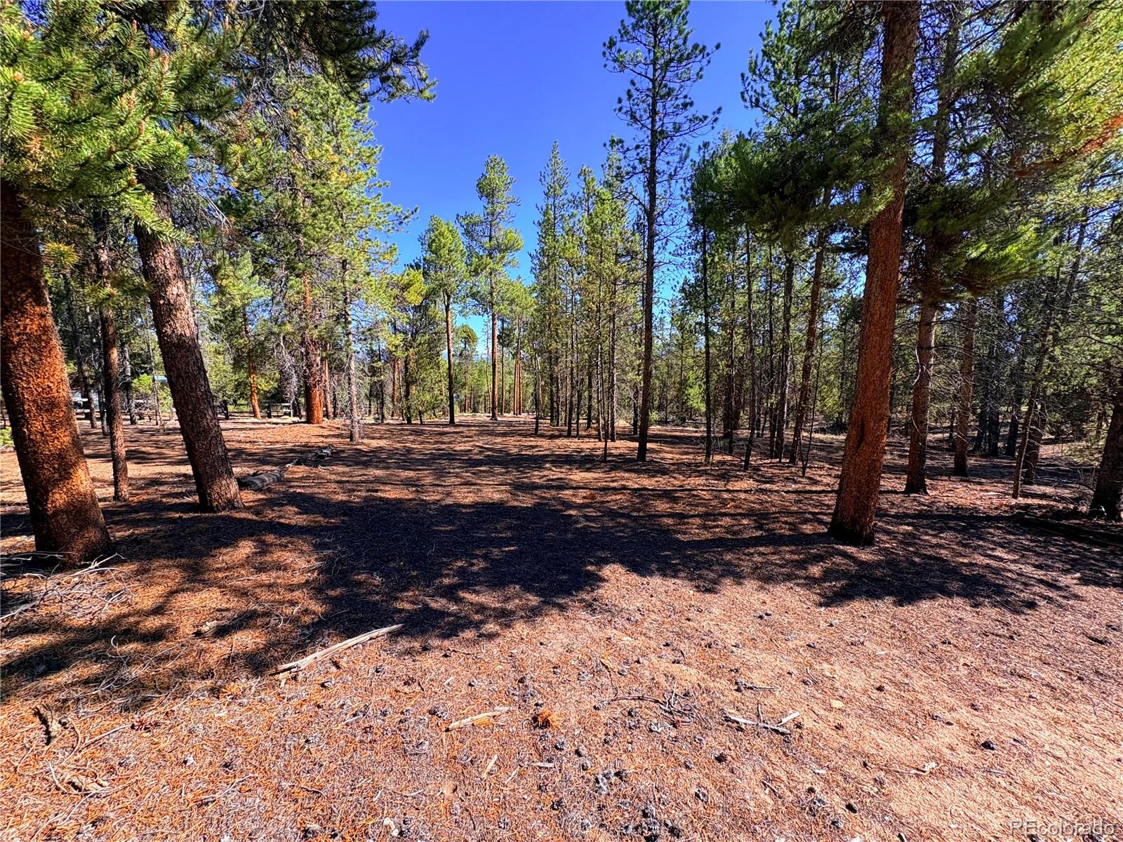 3rd image of 399 Lodgepole Dr, Leadville, CO 80461 | MLS# 7925267