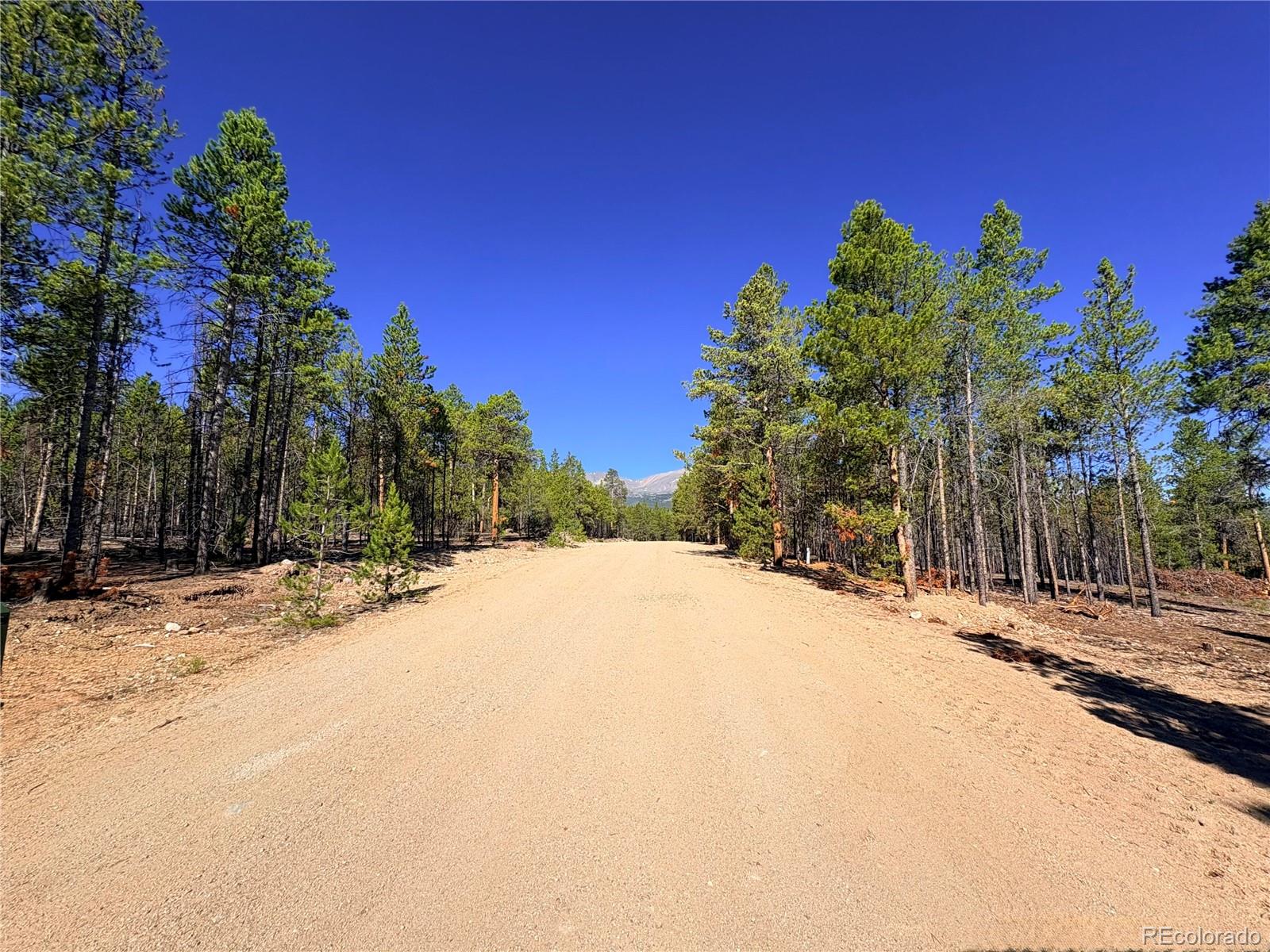 9th image of 399 Lodgepole Dr, Leadville, CO 80461 | MLS# 7925267