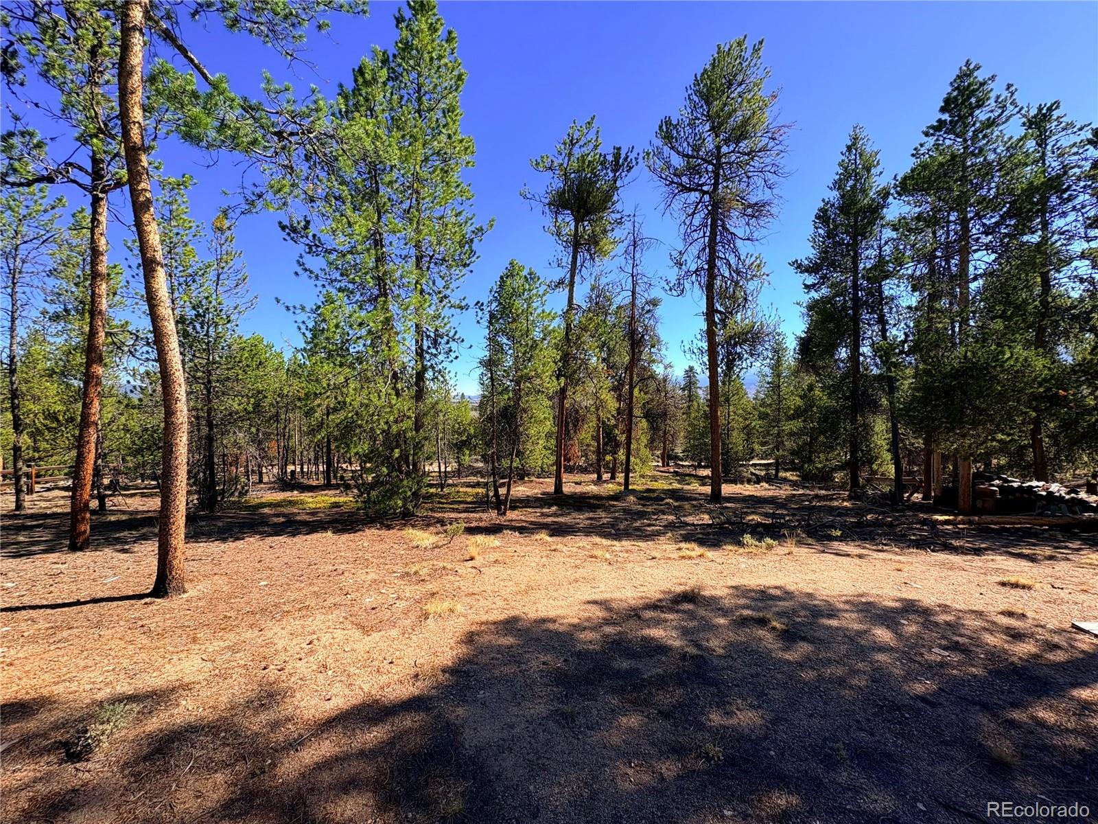 5th image of 399 Lodgepole Dr, Leadville, CO 80461 | MLS# 7925267