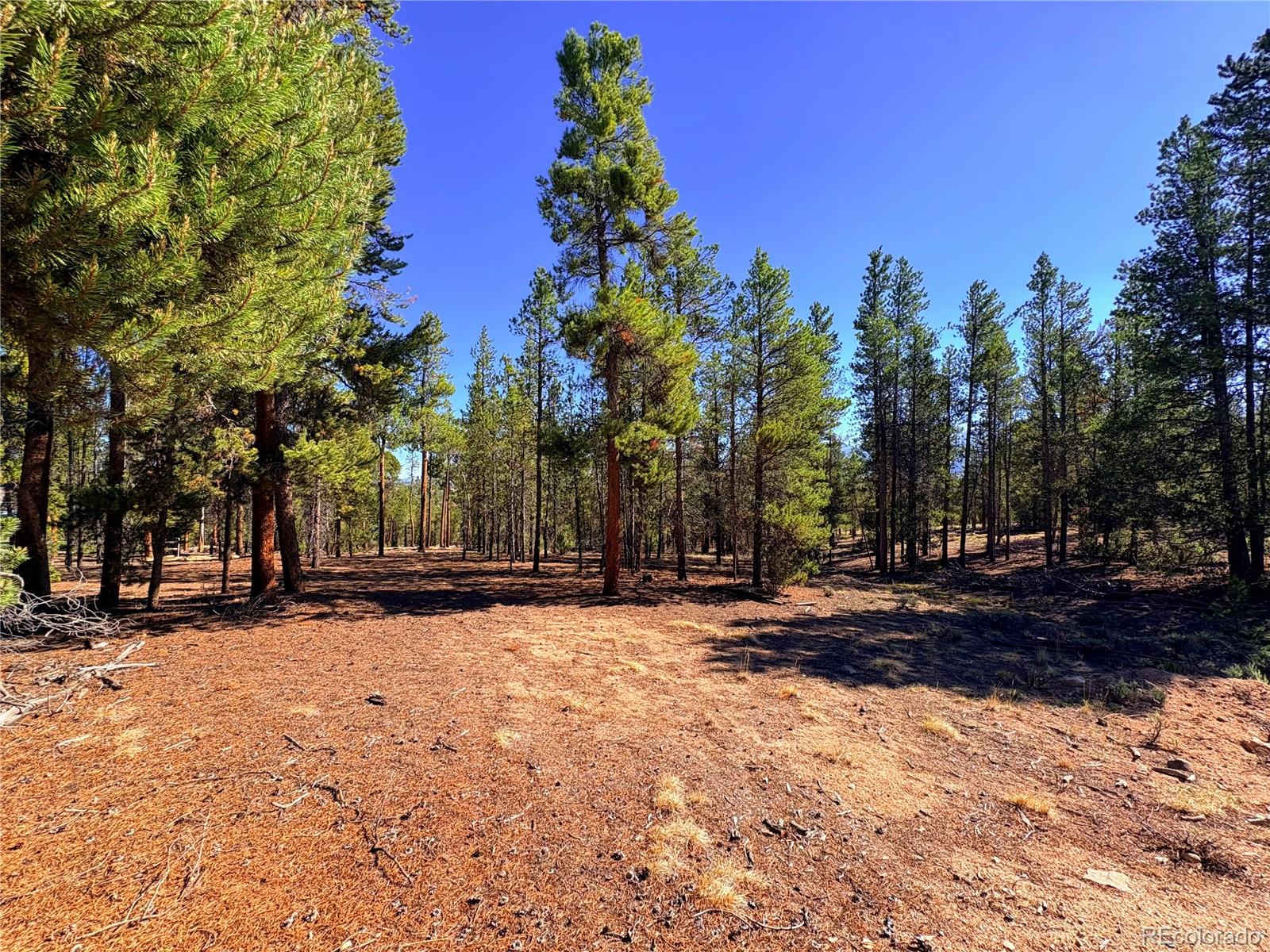 1st image of 399 Lodgepole Dr, Leadville, CO 80461 | MLS# 7925267