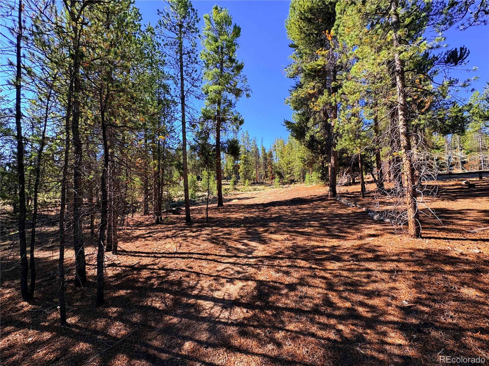 4th image of 399 Lodgepole Dr, Leadville, CO 80461 | MLS# 7925267