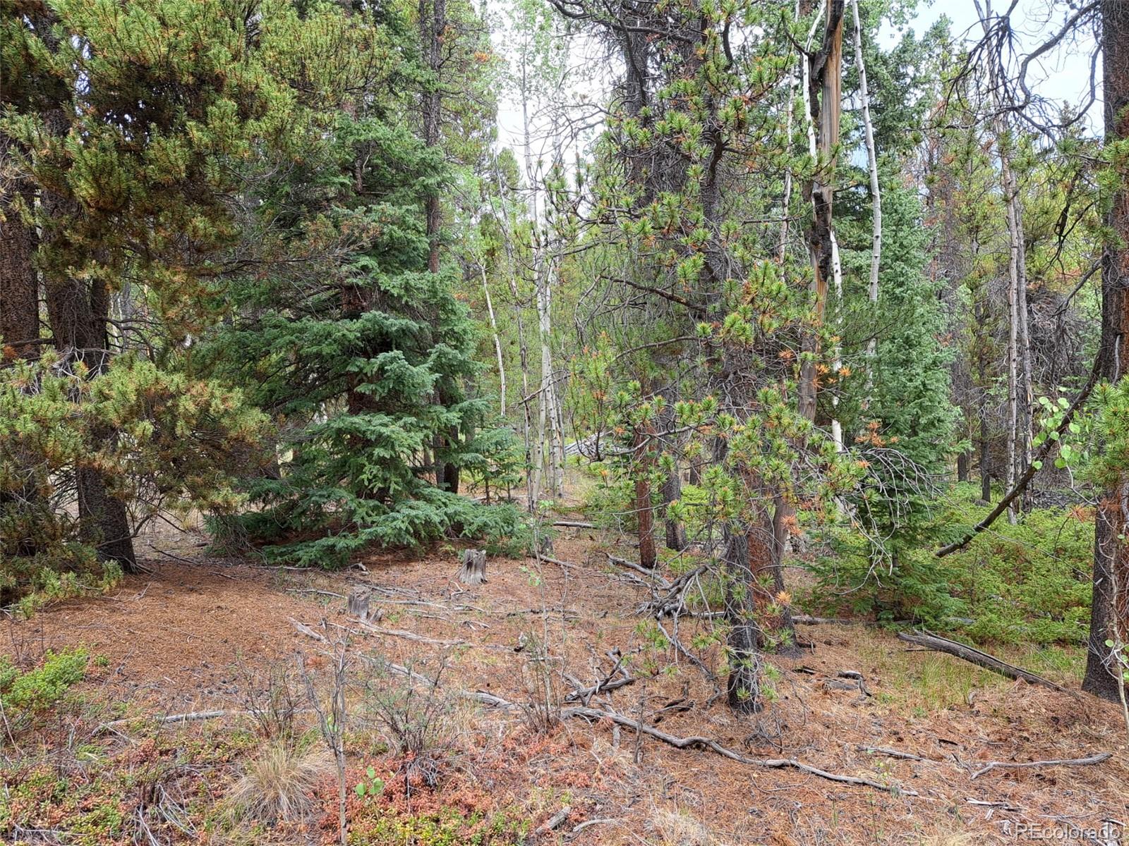 5th image of 1201 Beaver Creek Rd, Fairplay, CO 80440 | MLS# 7257894