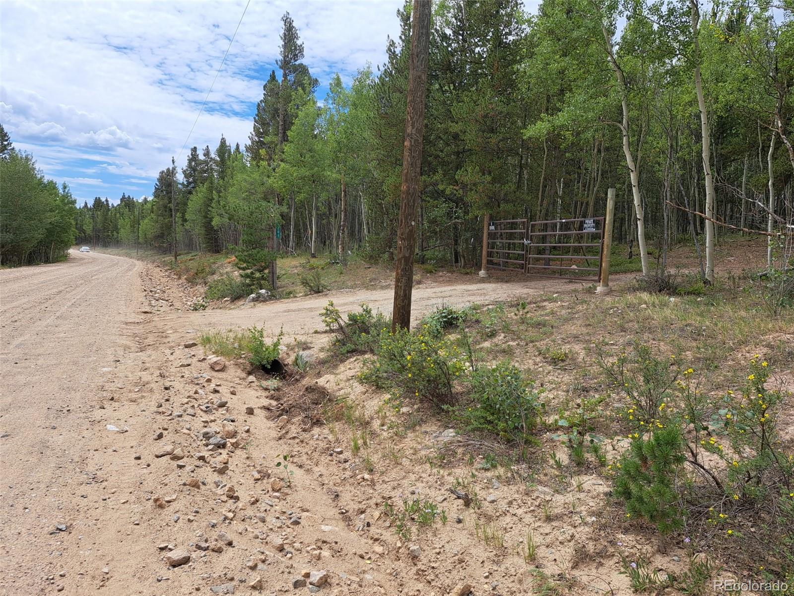 4th image of 1201 Beaver Creek Rd, Fairplay, CO 80440 | MLS# 7257894