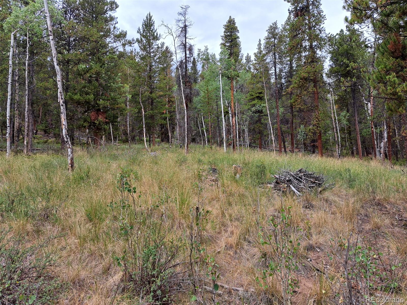 1st image of 1201 Beaver Creek Rd, Fairplay, CO 80440 | MLS# 7257894