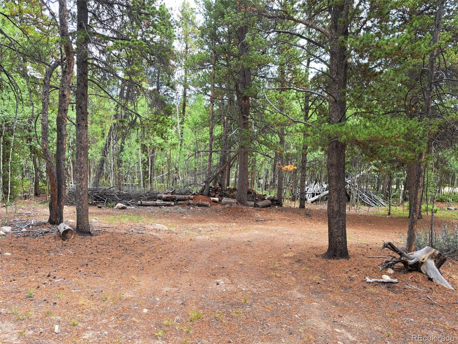 3rd image of 1201 Beaver Creek Rd, Fairplay, CO 80440 | MLS# 7257894