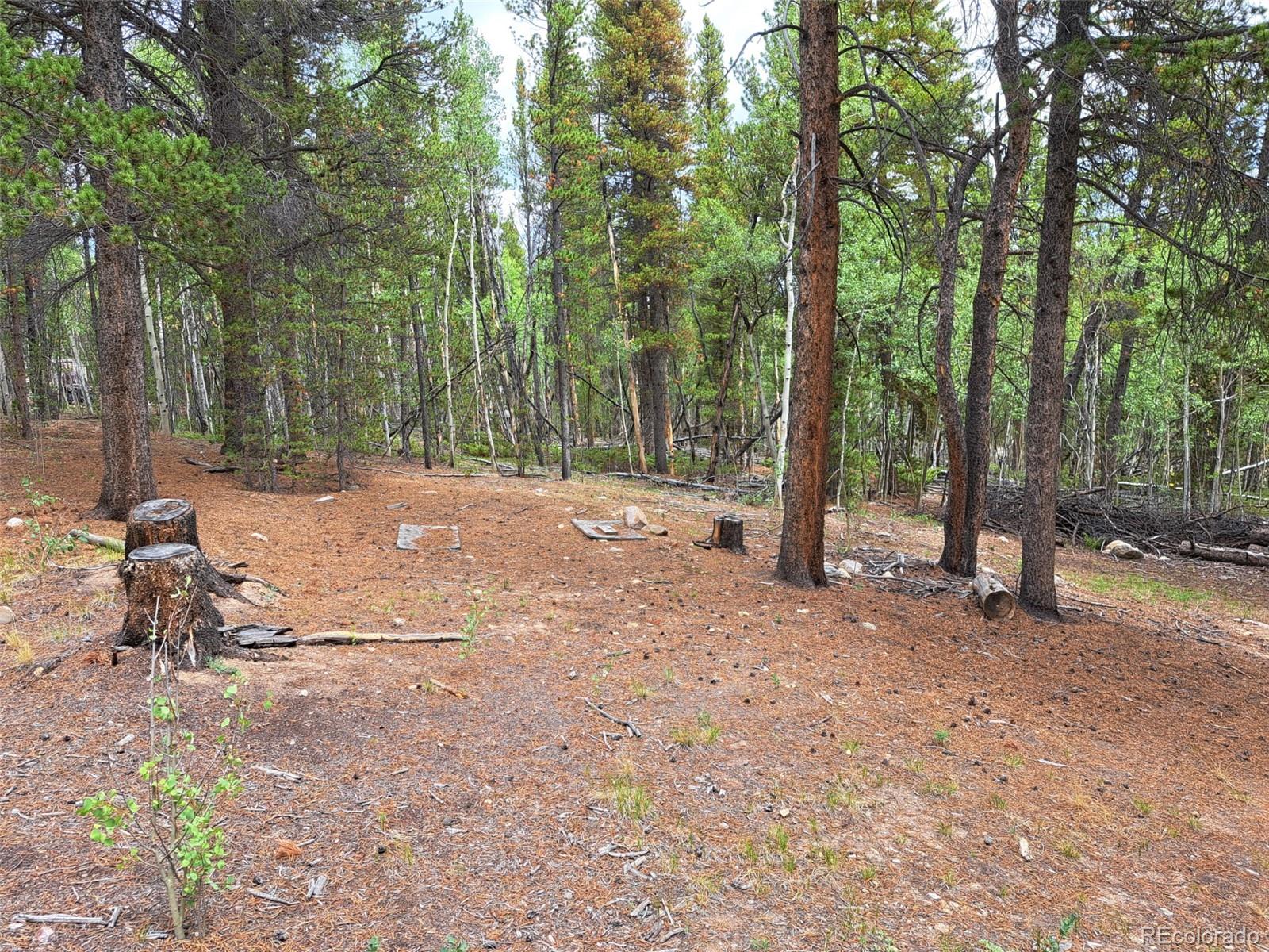 2nd image of 1201 Beaver Creek Rd, Fairplay, CO 80440 | MLS# 7257894