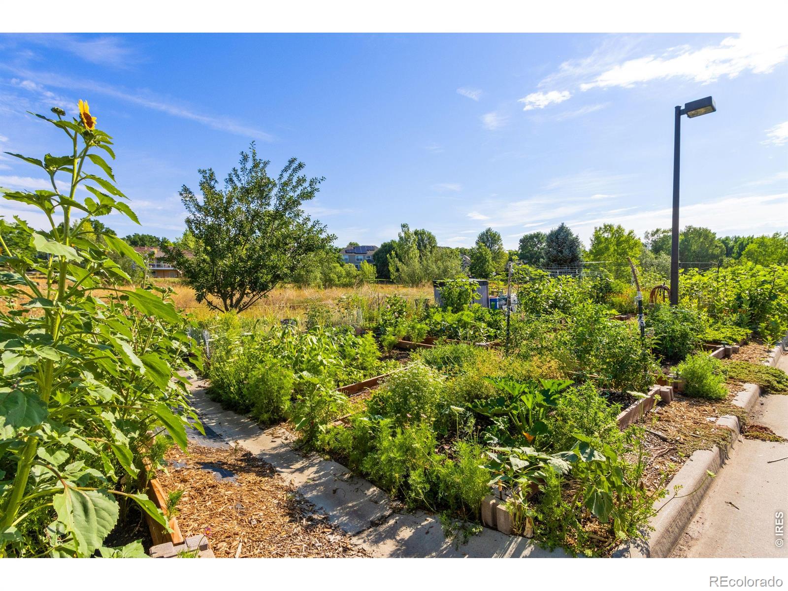 22nd image of 5620 Fossil Creek Pkwy #7101, Fort Collins, CO 80525 | MLS# IR1065652