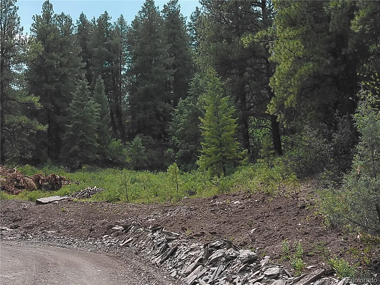 3rd image of 165 Tiffany Pl, Pagosa Springs, CO 81147 | MLS# 9449801