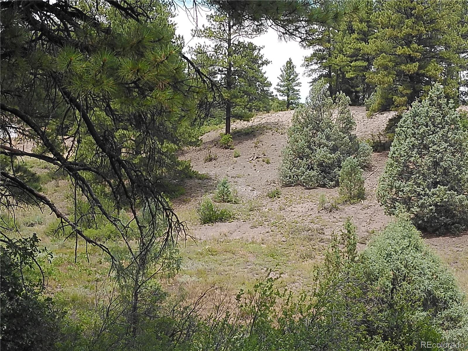 4th image of 165 Tiffany Pl, Pagosa Springs, CO 81147 | MLS# 9449801