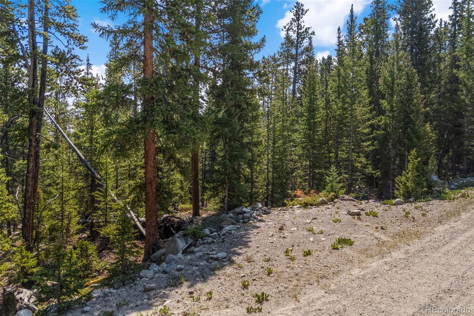 5th image of 914 Bobcat Ln, Fairplay, CO 80440 | MLS# 5773753
