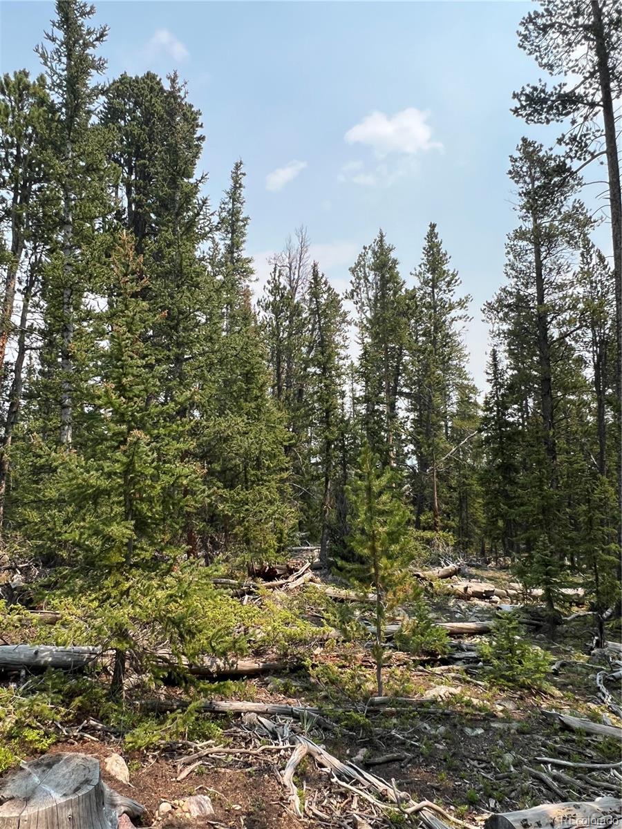 19th image of 914 Bobcat Ln, Fairplay, CO 80440 | MLS# 5773753