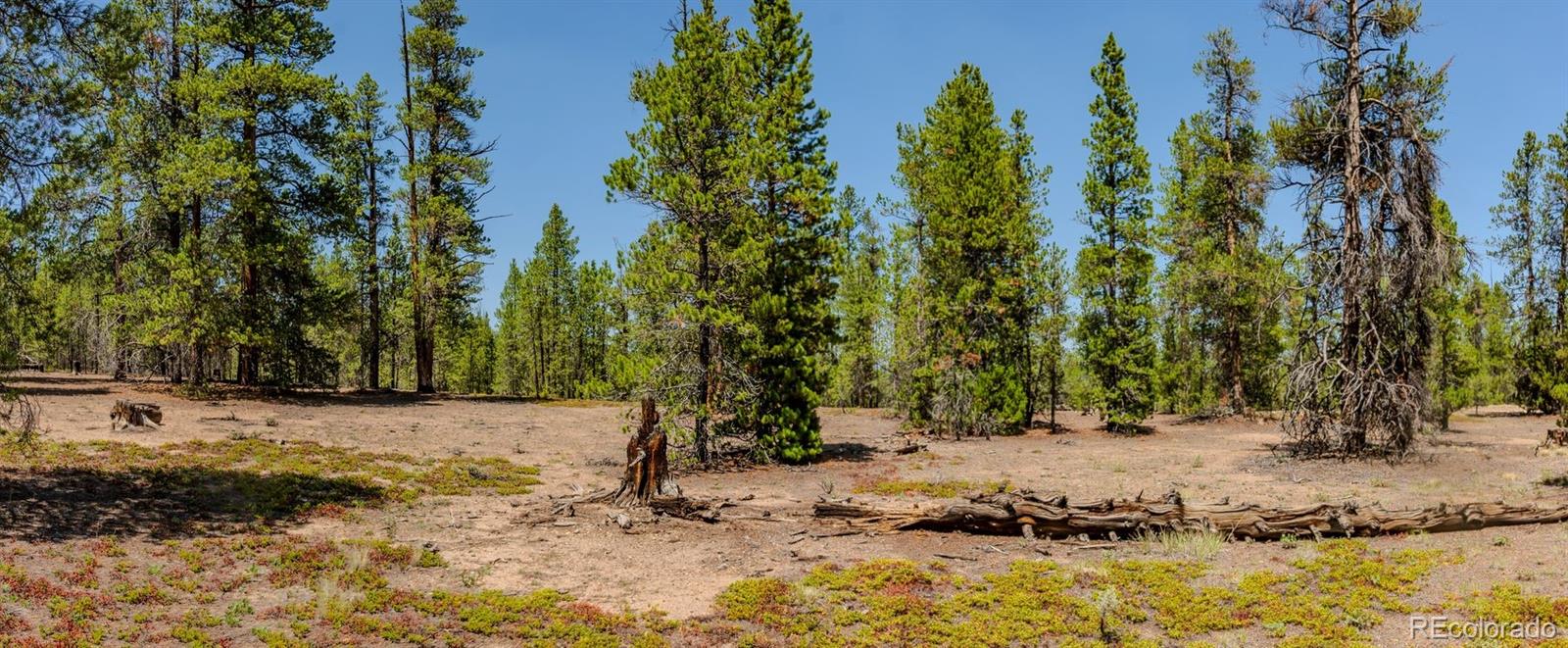 3rd image of 124 Fir Dr, Leadville, CO 80461 | MLS# 8429670