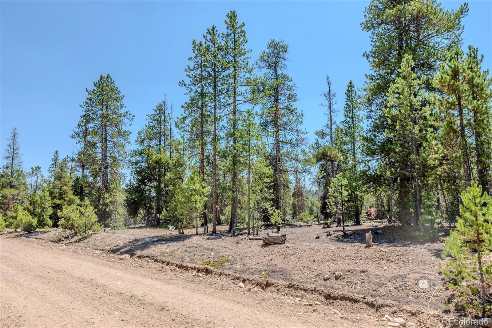 4th image of 124 Fir Dr, Leadville, CO 80461 | MLS# 8429670