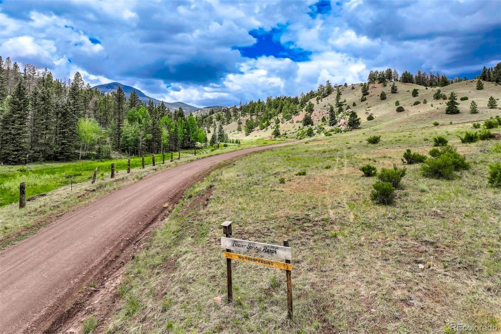 50th image of 75 Deer Run, Guffey, CO 80820 | MLS# 8297766
