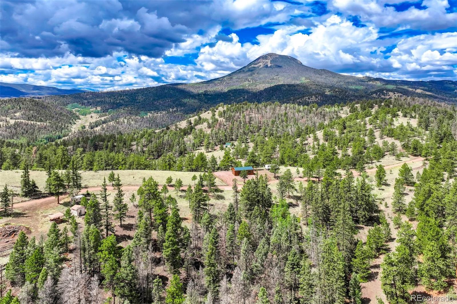 2nd image of 75 Deer Run, Guffey, CO 80820 | MLS# 8297766