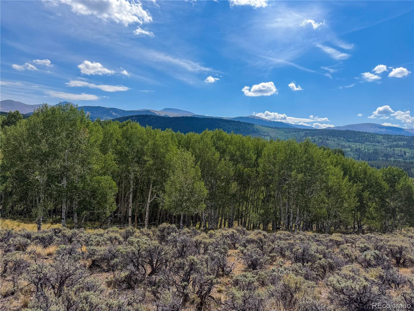2nd image of 380 Mallard Rd, Leadville, CO 80461 | MLS# 4496576
